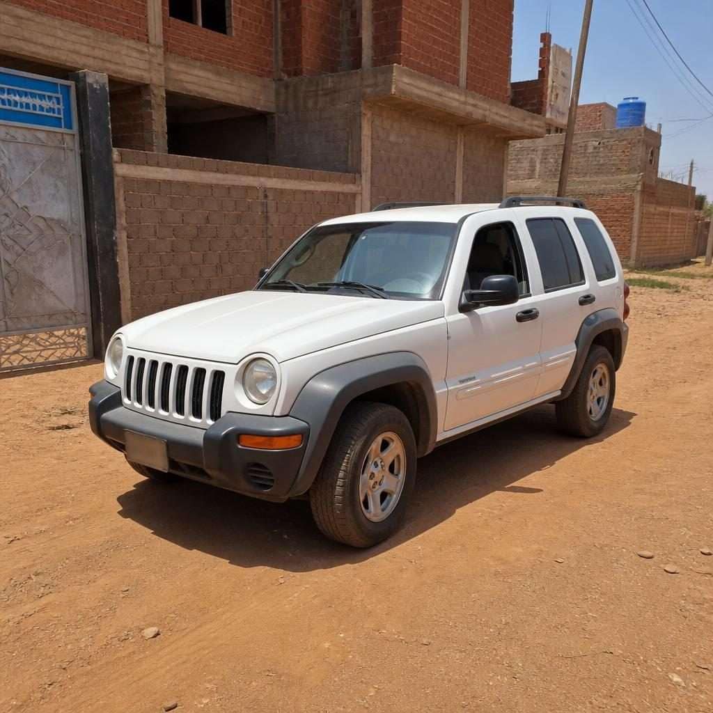 جيب ليبرتي 2022 استعمال نظيف